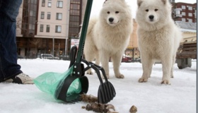 У Полтаві власників собак хочуть зобов'язати прибирати за своїми тваринами під час прогулянок