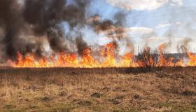 На Полтавщині за добу згоріло сто гектарів сухої трави