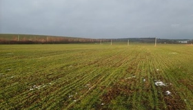На Полтавщині завершили посівну ранніх зернових культур