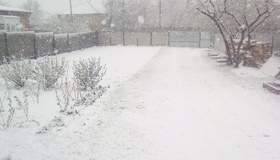 На Пирятинщині випав сніг у кінці квітня