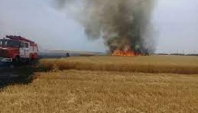Під Кременчуком згоріло майже тридцять гектарів пшениці