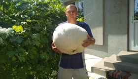 Велетенський гриб знайшли на Полтавщині