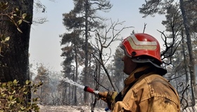 Полтавські пожежники допомагають гасити пожежу в Греції