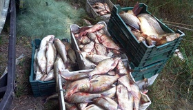 У Кременчуцькому районі виявили 210 кг незаконно виловленої риби