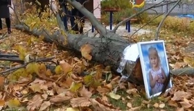 Чиновники хочуть уникнути відповідальності, - мама дівчинки, яку вбило дерево