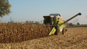 Полтавські аграрії намолотили понад 3,5 млн  тонн кукурудзи