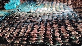 На Полтавщині рибалки незаконно виловили понад 900 кг риби