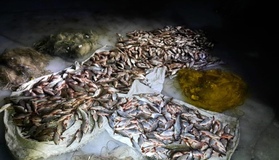 На Полтавщині водні поліцейські виявили на  водосховищі рибалок з незаконним уловом