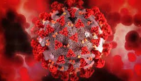 За добу на Полтавщині - плюс 203 випадки коронавірусу