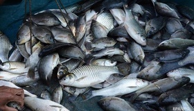На Полтавщині зупиняється судноплавство та вилов риби