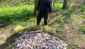Браконьєр на Полтавщині наловив риби на два мільйона