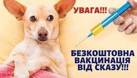 Полтавців запрошують на безкоштовну вакцинацію тварин