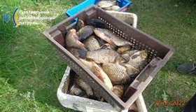 На Полтавщині браконьєри наловили риби на майже 180 тисяч