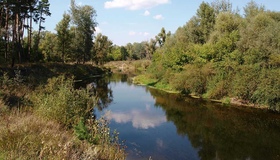 На Полтавщині біля річки зникла людина