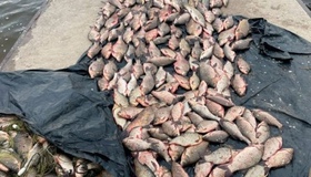 На Полтавщині двоє промислових рибалок незаконно виловлювали рибу