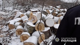На Лубенщині чоловік нарубав дерев на 355 тисяч