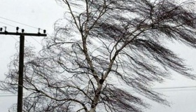 Сильний вітер: на Полтавщині оголосили штормове попередження