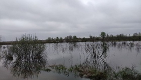 Рівень води у Дніпрі на Полтавщині знову піднявся