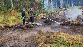 На Полтавщині рятувальники третій день продовжують гасити торф’яну пожежу