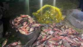 На Полтавщині судитимуть браконьєрів: наловили риби на п'ять мільйонів