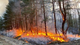 В екосистемах Полтавщини різко зросла кількість пожеж