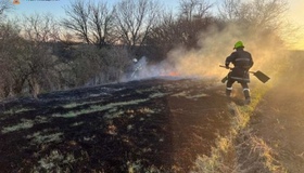 Масштабну пожежу у Горішніх Плавнях 9 годин гасили 40 рятувальників