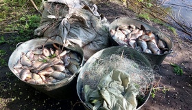 На Полтавщині виявили браконьєра з 150 кілограмами риби