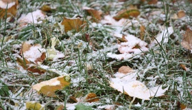У Полтаві випав перший мокрий сніг. ФОТО