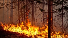 На Полтавщині оголосили про надзвичайну пожежну небезпеку