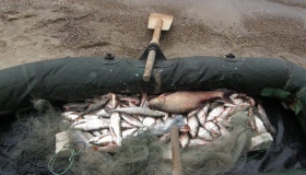 У Кременчуцькому районі затримали браконьєра з рибою