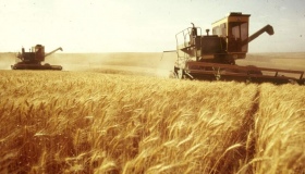 На Полтавщині намолотили півмільйона тонн зерна