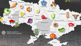 У списку аграрних рекордів України Полтавщина стала першою з виробництва кукурудзи та сіна