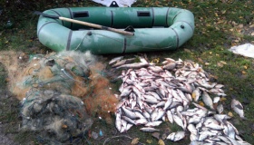 31 кг нелегально виловленої риби "тягне" на 20 тисяч гривень