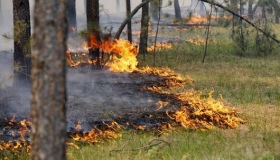 На Полтавщині збережеться найвищий рівень пожежної небезпеки