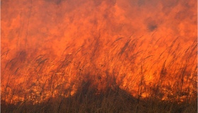 До 5 вересня на Полтавщині - найвищий клас пожежної небезпеки.