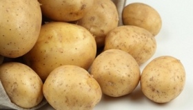 Полтавщина планує зібрати понад мільйон тонн картоплі