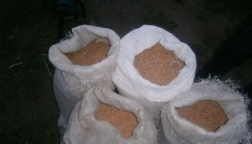 Підліток украв у сусіда 200 кг пшениці
