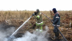 Тиждень не можуть загасити масштабну пожежу на Полтавщині
