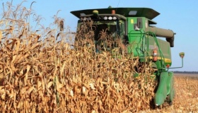 На Полтавщині намолотили майже 2.5 мільйона тонн зернових