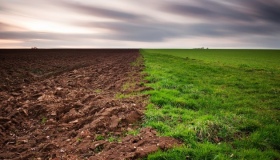 На Полтавщині фермер самовільно захопив землю - поліція