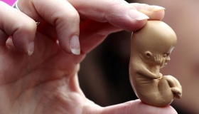 На Полтавщині скоротилася кількість абортів