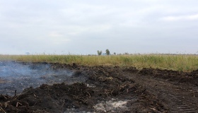 Пожежу торфу на Полтавщині гасили протягом 18 днів