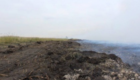 До масштабної пожежі на Семенівщині додалося ще одне займання покладів торфу