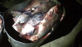 На Полтавщині затримали рибалок, котрі наловили риби на сто тисяч гривень