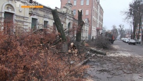 На Стрітенській вирубали дерева перед історичною будівлею. ВІДЕО