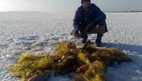 40 кілограмів риби, спійманої браконьєром, оцінили в десять тисяч гривень