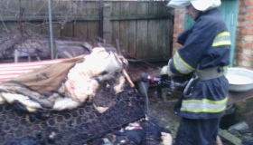 На Полтавщині в пожежі загинула жінка