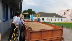 Перше зерно нового врожаю зібрали в Кобеляцькому районі