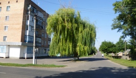 У селищі на Полтавщині наслідують приклад екс-Комсомольська: вулицю Совхозну перейменували на абревіатуру СОВХОЗ