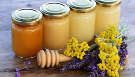 На Полтавщині планують отримати близько десяти тисяч тонн меду